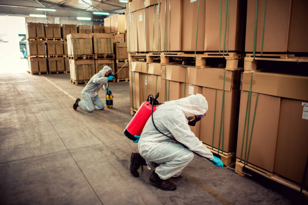 Best Cockroach Control Services  in Brent, FL
