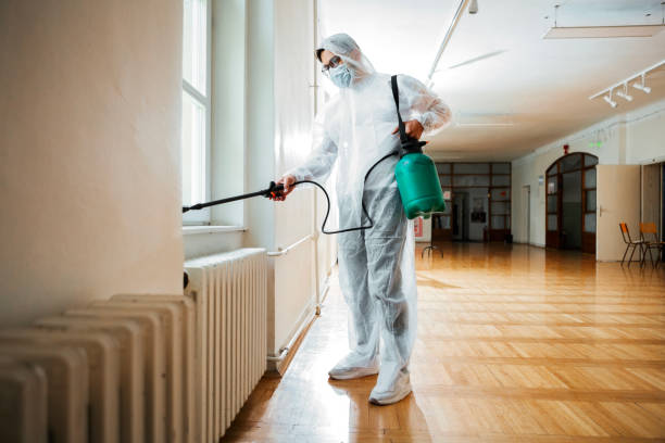 Best Residential Pest Control  in Brent, FL